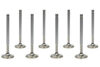 SBC C/P 1.600 Exhaust Valves 11/32 5.300 OAL