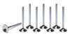 SBC C/P 1.600 Exhaust Valves