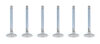 Buick V6 C/6 1.500in Exhaust Valves