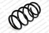 Coil Spring – Front (Type 4A)