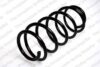 Coil Spring – Front