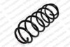 Coil Spring – Front
