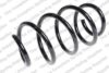 Coil Spring – Front