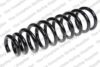 Coil Spring – Front