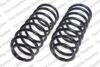 Coil Spring – Front – Driver and Passenger Side (Standard)
