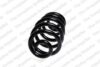 Audi Coil Spring – Rear (with Sport Suspension) 8E0511115FM – Lesjofors 4204258