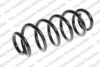 Coil Spring – Rear