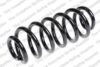 Coil Spring – Rear