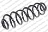 Coil Spring – Rear (Type 8KH)