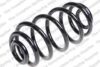 Coil Spring – Rear