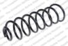 Coil Spring – Rear