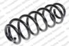 Coil Spring – Rear (Type AJ5) (With Sports Suspension)