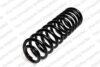 Coil Spring – Rear (Heavy Duty)