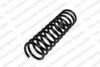 Coil Spring – Rear