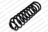 Coil Spring – Rear