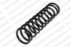 Coil Spring – Rear
