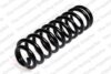 Coil Spring – Rear