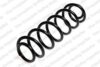 Coil Spring – Rear (Standard Spring) (Type 1J6)