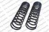 Coil Spring – Rear – Driver and Passenger Side (Coil Spring Cargo)