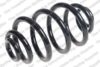 Coil Spring – Rear