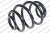 Coil Spring – Rear