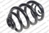 Coil Spring – Rear