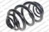 Coil Spring – Rear
