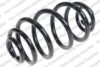 Coil Spring – Rear