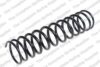Coil Spring – Rear (Type 16)