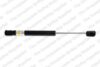 Trunk Lid Lift Support – Rear