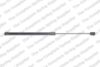 Hatch Lift Support – Rear