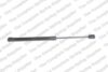 Trunk Lid Lift Support – Rear