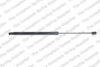 Hatch Lift Support – Rear