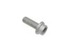 Porsche Disc Brake Caliper Bolt (M14x40mm) N10555602