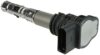 Audi Volkswagen Ignition Coil 48843