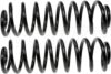 Air Spring to Coil Spring Conversion Kit – Rear