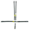 5pt Harness System SFI LatchLink Black HANS