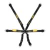 Harness 6pt Enduro Black Shoulder & Lap