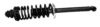 Suspension Strut and Coil Spring Assembly – Rear