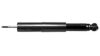 Shock Absorber – Rear