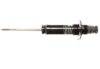 Suspension Strut – Front