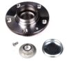 Schaeffler Wheel Hub - 713 6102 200