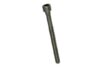 Genuine VW/Audi Cylinder Head Bolt (M10x113mm) WHT001017