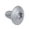 Bolt (M6x10)
