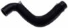 Radiator Coolant Hose – Lower