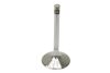 Intake Valve - Priced Each
