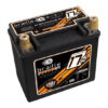 Braille Battery Racing Battery 17lbs 1191 PCA 6.8x4.0x6.1 - B2317