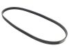 Alternator Belt