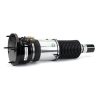 Air Strut Assembly