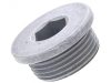 Genuine Porsche Transmission Case Plug (22 X 10 mm)